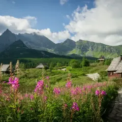 Kasprowy Wierch: Wybierz idealny szlak dla siebie i rodziny!
