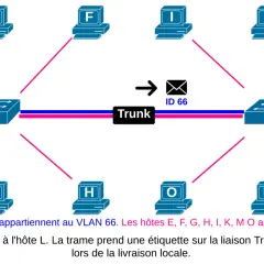 Schéma réseau montrant des ordinateurs connectés à des commutateurs via une liaison Trunk. L'hôte A communique avec L.