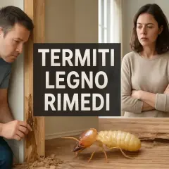 Coppia preoccupata scopre un nido di termiti in casa, con un insetto che divora il legno.