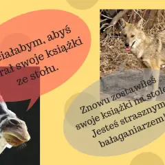 Żyrafa prosi szakala, by zabrał książki ze stołu, bo jest bałaganiarzem.