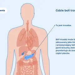 Ilustracja przedstawia lokalizację trzustki w ludzkim ciele. Ból trzustki może być intensywny i promieniować do pleców.