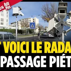Un radar de passage piéton surveille un passage clouté.
