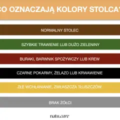 Kolory stolca: brązowy to prawidłowy kolor, zielony to szybkie trawienie, czerwony to buraki lub krew, czarny to żelazo lub krwawienie, żółty to złe wchłanianie, szary to brak żółci.