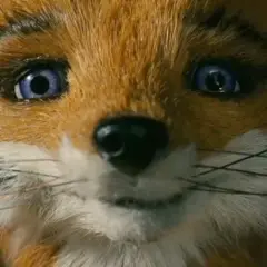 Najlepsze filmy o lisie, które musisz zobaczyć - odkryj ich magię