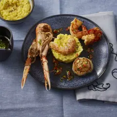 Ein Teller mit frutti di mare: Kaisergranat, Garnelen und Jakobsmuschel auf Safranrisotto, garniert mit Tomatenwürfeln. Daneben ein Schälchen mit Sauce und ein Schälchen Risotto.