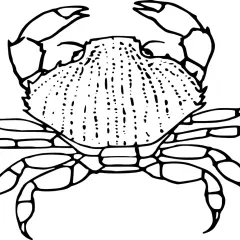 Un dibujo de cangrejo para colorear, listo para llenarlo de vida y color.