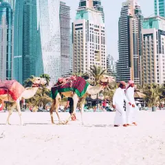 Dwa wielbłądy na plaży w Dubaju, obok palm i drapaczy chmur. Zastanawiasz się, ile się leci do Dubaju?