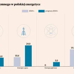 Wykres pokazuje, ile gazu zużywa Polska w energetyce. Prognoza na 2034 r. przewiduje wzrost zużycia gazu.