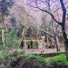 Un castillo de piedra cubierto de musgo se alza en el **bosque encantado de Aldán**, rodeado de árboles frondosos y vegetación exuberante.