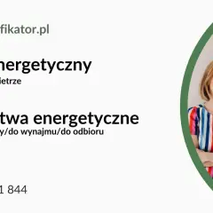 Kto wykonuje audyt energetyczny budynku i jakie ma kwalifikacje?