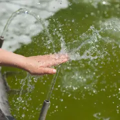 Co z wodą z oczyszczalni biologicznej? Użyj jej mądrze i legalnie
