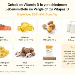 Die besten Lebensmittel für einen hohen Vitamin D Gehalt im Alltag