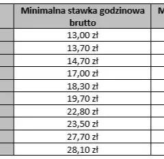 Dekarz: Ile zarabia na rękę? Stawki godzinowe 2025 i perspektywy