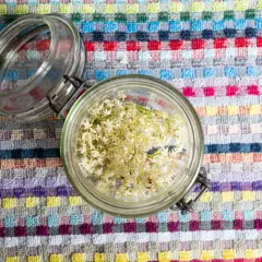 Ein Glas voller Holunderblüten, bereit für ein köstliches Holundergelee Rezept.