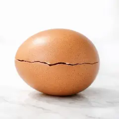 Un œuf brun craquelé, révélant un œuf noir à l'intérieur, sur fond clair.