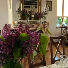 Gdzie zjeść w Drohiczynie? Odkryj najlepsze restauracje i smaki