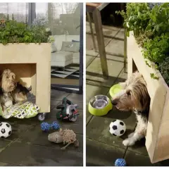 Buda dla psa z kartonu DIY: Zbuduj królestwo dla pupila!