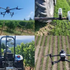 Droni e sensori avanzati rivoluzionano l'agricoltura tecnologia, monitorando vigneti e campi di mais per raccolti ottimali.
