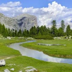 Un ruscello serpeggia tra prati verdi e fiori gialli, con imponenti montagne sullo sfondo. Un paesaggio da cartolina, tipico delle località di montagna famose.