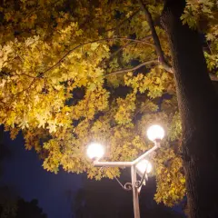 Zanieczyszczenie światłem - Jak poprawić nocne oświetlenie?