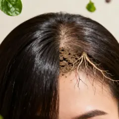 Haarwurzeln in Erde, umgeben von Beeren und Nüssen. Schwarzer Tee kann bei Haarausfall helfen.
