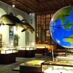 W muzeum dinozaurów w Warszawie można podziwiać modele prehistorycznych zwierząt i wielki glob.