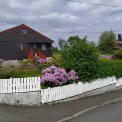 Najciekawsze atrakcje w Haugesund, które musisz zobaczyć w Norwegii