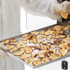 Mani guantate controllano la qualità delle mele disidratate, un processo di essiccazione che preserva il sapore.