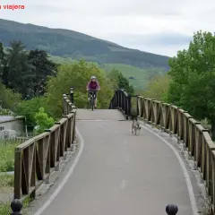 Ciclista y perro disfrutan de la vía verde Cantabria, rodeados de naturaleza y un puente de madera.