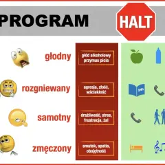 Program HALT: głodny, rozgniewany, samotny, zmęczony. Plan na wyjście z terapii zawiera zdrowe jedzenie, rozmowę, odpoczynek i aktywność.