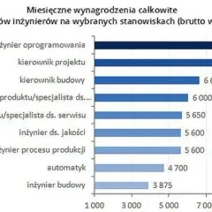 Ile zarabia projektant konstrukcji? Zaskakujące fakty o wynagrodzeniach