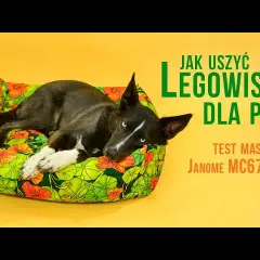 Wygodne legowisko dla psa bez szycia? 4 proste metody DIY!