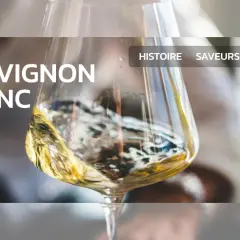 Guide du Sauvignon Blanc : découvrez avec quel plat ce vin se marie parfaitement.