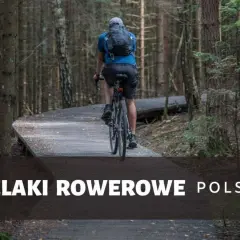 Rowerzysta przemierza drewniany szlak w lesie. Odkryj malownicze **trasy rowerowe Polska** i poczuj wolność na dwóch kółkach.