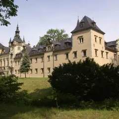 Piękny, żółty zamek z wieżami i ozdobnymi dachami. Ile jest zamków w Polsce? Ten jeden z pewnością wart jest zobaczenia.