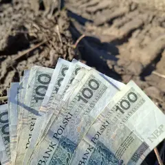 Stos banknotów po 100 zł leży na ziemi. Czy to zapowiedź przyszłej renty planistycznej?