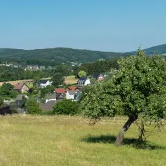 Grünes Tal mit Apfelbaum im Vordergrund, Häuser und Wälder im Hintergrund. Ein idyllischer Ort am Bierweg Bielstein.
