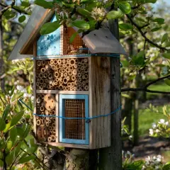 Jak zbudować domek dla pszczół DIY, aby wspierać bioróżnorodność