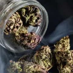 Marihuana: Prawda o uzależnieniu. Objawy, skutki, pomoc