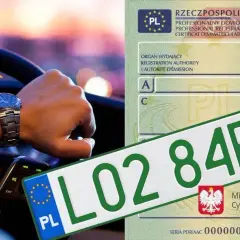 Ręka na kierownicy, zegarek na nadgarstku i polskie rejestracje dyplomatyczne.
