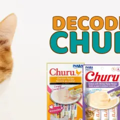 Curious cat peeks out, wondering if Churu is good for cats. Three Churu cat treat packages are displayed.