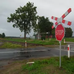 Przejazd kolejowo-drogowy z znakiem STOP i krzyżami. Torowisko przecina mokrą drogę pośród zieleni i drzew.