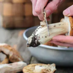 Manos limpiando boletus con un cuchillo, preparándolos para cocinar. Aprende como limpiar boletus fácilmente.