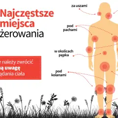 Najwięcej kleszczy żeruje za uszami, pod pachami, w okolicach łokci, pępka, pachwin, pod kolanami i ścięgna Achillesa.