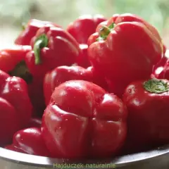 Miseczka pełna lśniących, czerwonych papryk, gotowych do pieczenia. Woda na ich skórce odbija światło, zapowiadając pyszne danie.