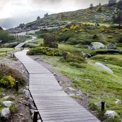 Sendero de madera serpentea por colinas verdes y rocosas, ideal para rutas senderismo Madrid. Flores amarillas salpican el paisaje.