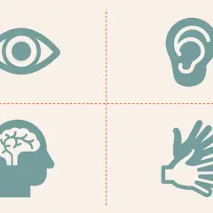 Vier Symbole: Auge, Ohr, Gehirn, Hände. Sie illustrieren, welche Lerntypen es gibt: visuell, auditiv, kognitiv und kinästhetisch.