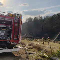 Strażacy gaszą pożar w lesie, widać wóz strażacki z numerem LLU rejestracja.