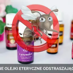 Najlepsze olejki na meszki, które skutecznie je odstraszą