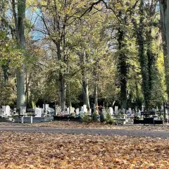 Jak sprawdzić datę pogrzebu w Szczecinie bez zbędnych trudności